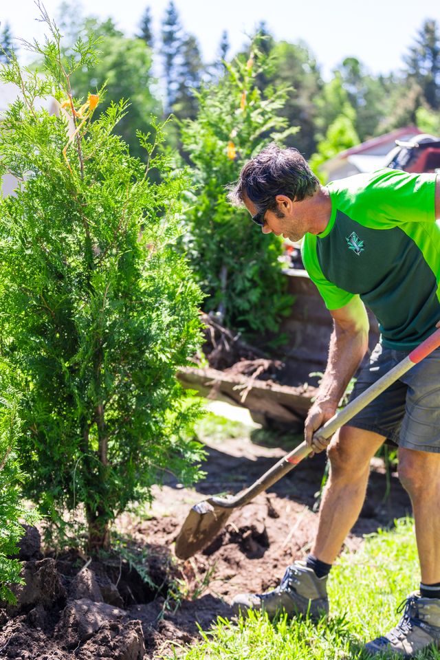 Tree Planting 1